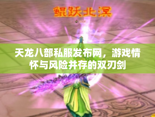 天龙八部私服发布网，游戏情怀与风险并存的双刃剑