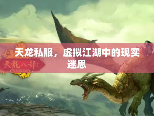 天龙私服，虚拟江湖中的现实迷思