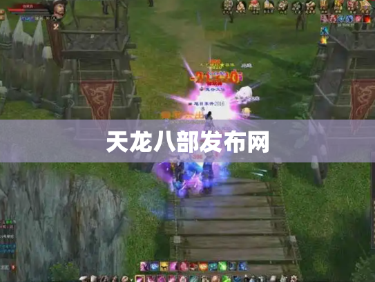 天龙八部发布网