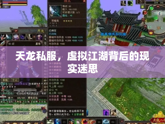 天龙私服，虚拟江湖背后的现实迷思