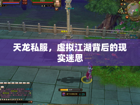 天龙私服，虚拟江湖背后的现实迷思