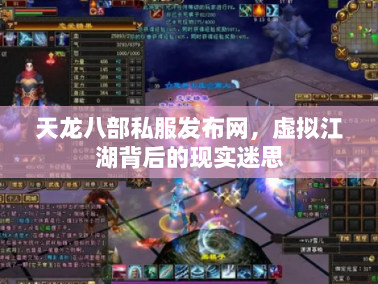 天龙八部私服发布网，虚拟江湖背后的现实迷思