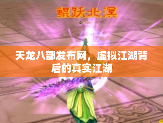 天龙八部发布网，虚拟江湖背后的真实江湖