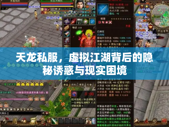 天龙私服，虚拟江湖背后的隐秘诱惑与现实困境