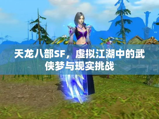 天龙八部SF，虚拟江湖中的武侠梦与现实挑战
