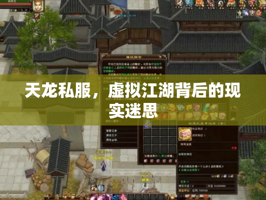 天龙私服，虚拟江湖背后的现实迷思