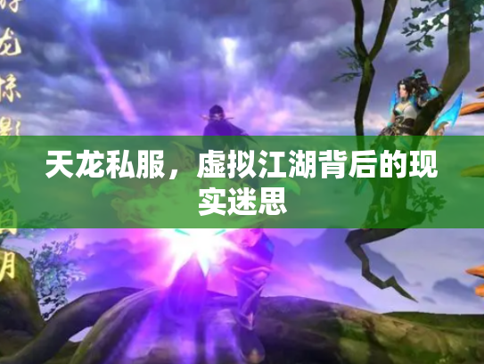 天龙私服，虚拟江湖背后的现实迷思