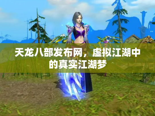天龙八部发布网，虚拟江湖中的真实江湖梦
