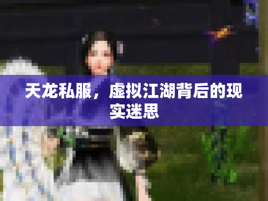 天龙私服，虚拟江湖背后的现实迷思