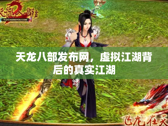 天龙八部发布网，虚拟江湖背后的真实江湖