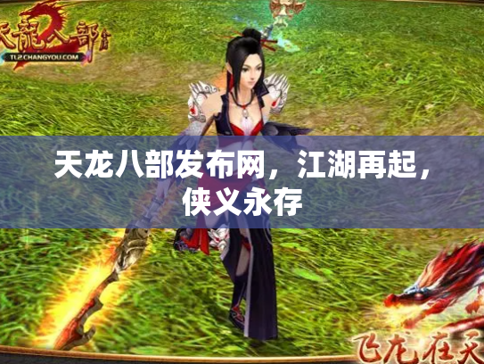 天龙八部发布网，江湖再起，侠义永存