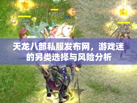 天龙八部私服发布网，游戏迷的另类选择与风险分析