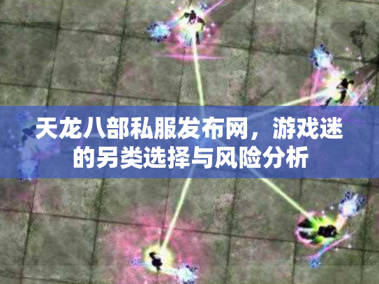 天龙八部私服发布网，游戏迷的另类选择与风险分析