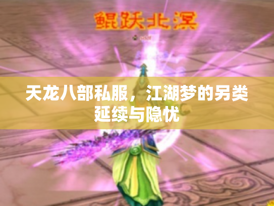 天龙八部私服，江湖梦的另类延续与隐忧