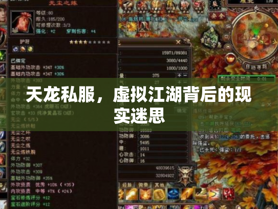 天龙私服，虚拟江湖背后的现实迷思