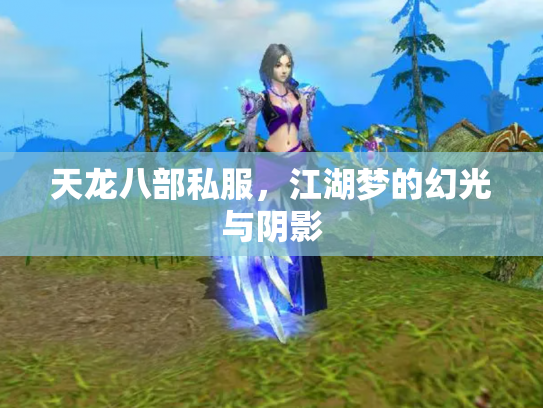 天龙八部私服，江湖梦的幻光与阴影