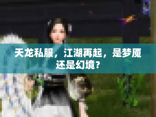 天龙私服，江湖再起，是梦魇还是幻境？