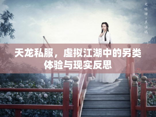 天龙私服，虚拟江湖中的另类体验与现实反思