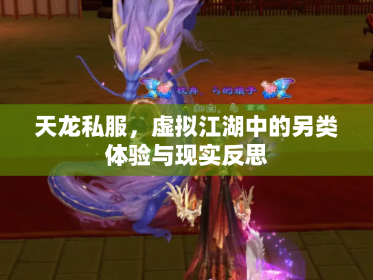 天龙私服，虚拟江湖中的另类体验与现实反思