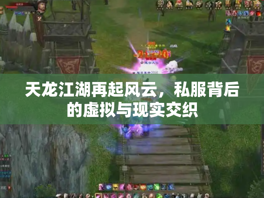 天龙江湖再起风云，私服背后的虚拟与现实交织