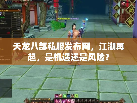 天龙八部私服发布网，江湖再起，是机遇还是风险？