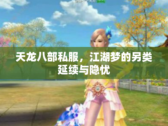 天龙八部私服，江湖梦的另类延续与隐忧
