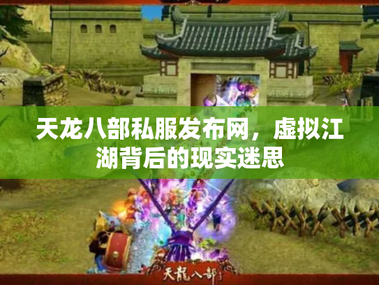 天龙八部私服发布网，虚拟江湖背后的现实迷思