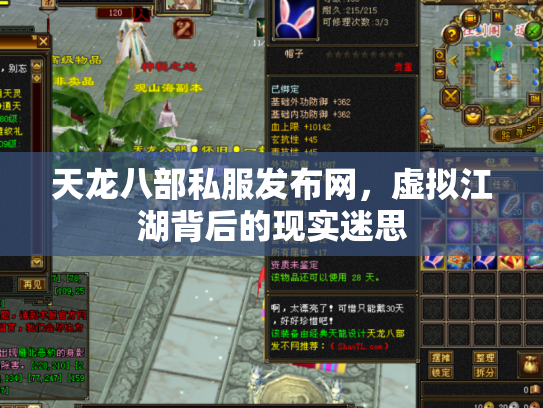 天龙八部私服发布网，虚拟江湖背后的现实迷思