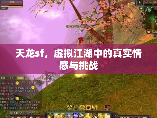 天龙sf，虚拟江湖中的真实情感与挑战