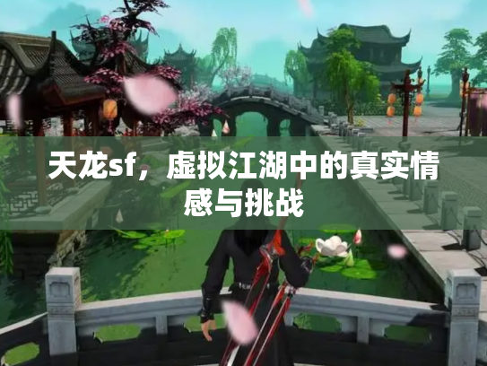 天龙sf，虚拟江湖中的真实情感与挑战
