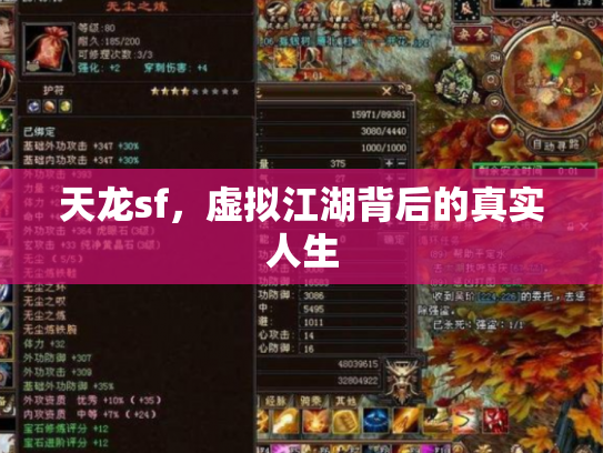 天龙sf，虚拟江湖背后的真实人生