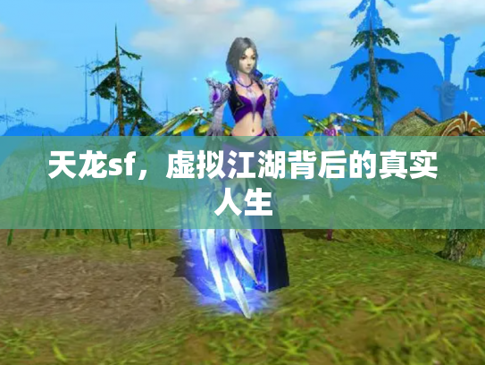 天龙sf，虚拟江湖背后的真实人生