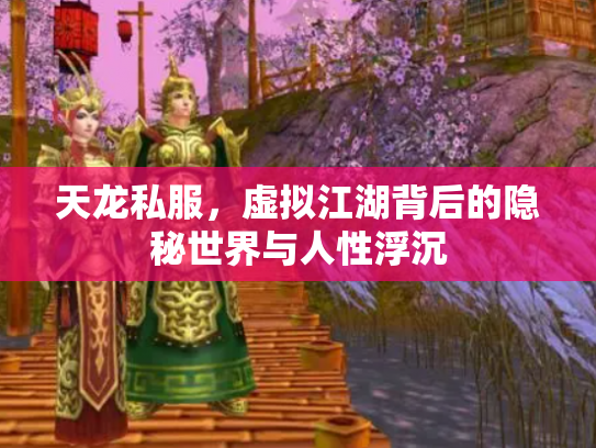 天龙私服，虚拟江湖背后的隐秘世界与人性浮沉