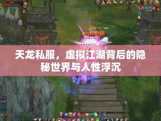 天龙私服，虚拟江湖背后的隐秘世界与人性浮沉