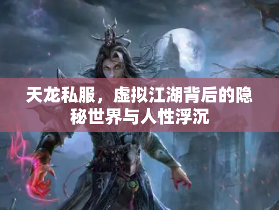 天龙私服，虚拟江湖背后的隐秘世界与人性浮沉