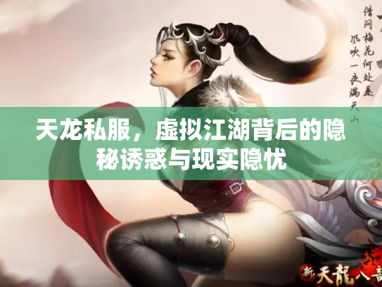 天龙私服，虚拟江湖背后的隐秘诱惑与现实隐忧