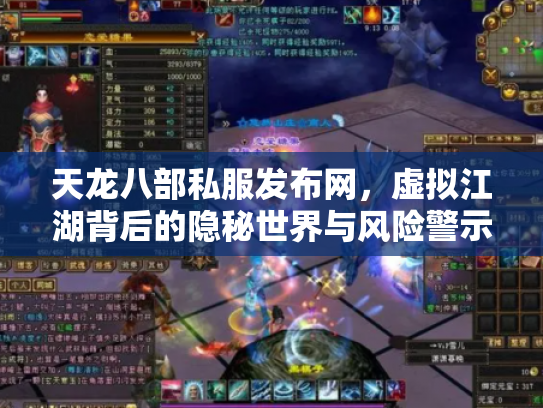 天龙八部私服发布网，虚拟江湖背后的隐秘世界与风险警示
