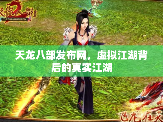 天龙八部发布网，虚拟江湖背后的真实江湖