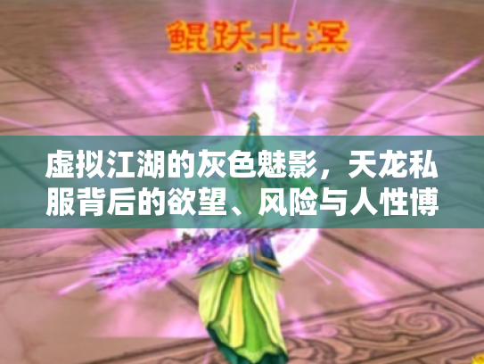 虚拟江湖的灰色魅影，天龙私服背后的欲望、风险与人性博弈