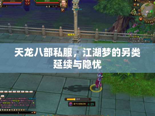 天龙八部私服，江湖梦的另类延续与隐忧