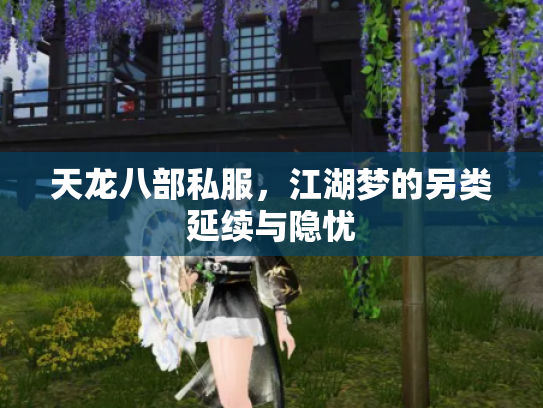 天龙八部私服，江湖梦的另类延续与隐忧