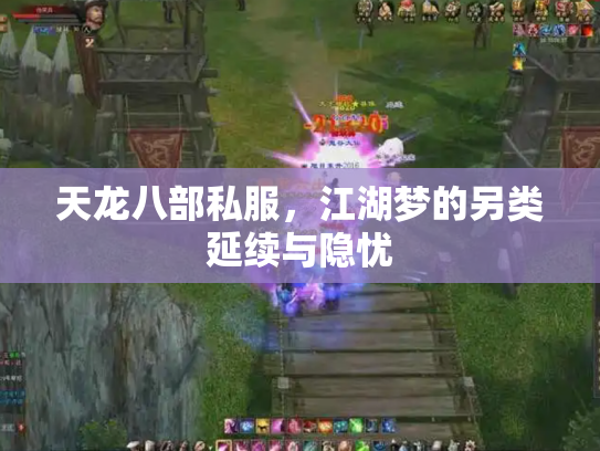 天龙八部私服，江湖梦的另类延续与隐忧