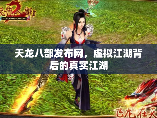 天龙八部发布网，虚拟江湖背后的真实江湖