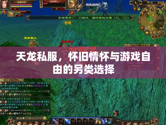 天龙私服，怀旧情怀与游戏自由的另类选择