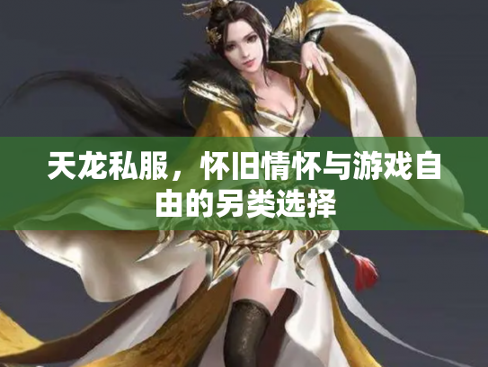 天龙私服，怀旧情怀与游戏自由的另类选择
