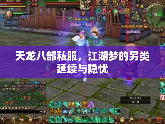 天龙八部私服，江湖梦的另类延续与隐忧