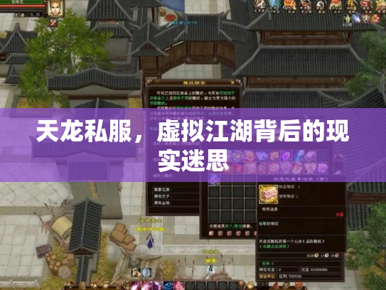 天龙私服，虚拟江湖背后的现实迷思