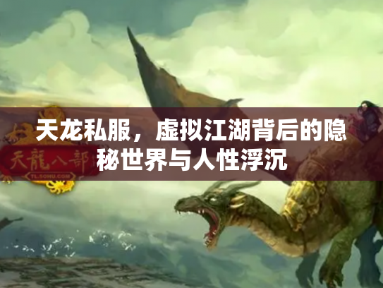 天龙私服，虚拟江湖背后的隐秘世界与人性浮沉