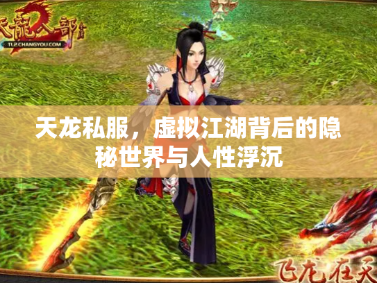 天龙私服，虚拟江湖背后的隐秘世界与人性浮沉
