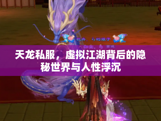 天龙私服，虚拟江湖背后的隐秘世界与人性浮沉